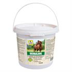VITALstyle OerBalans 