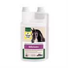 VITALstyle Silicium+ 