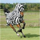 Vliegendeken Bucas Buzz-Off Zebra Full Neck Zebra