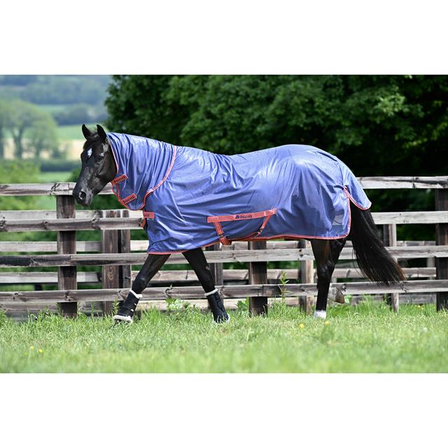 Vliegendeken Bucas Freedom SS25 Blauw-roze