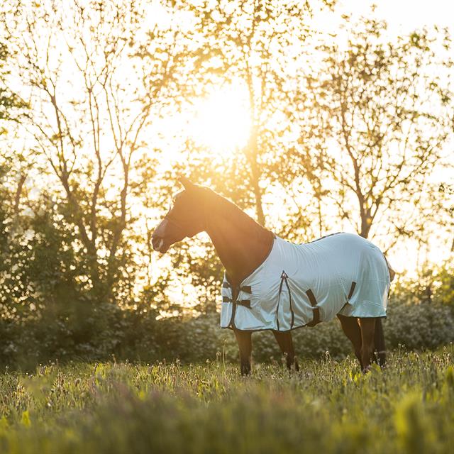 Vliegendeken Epplejeck Summertime Full Neck Grijs-blauw