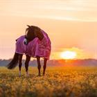 Vliegendeken Epplejeck Summertime Full Neck Roze