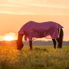 Vliegendeken Epplejeck Summertime Full Neck Roze