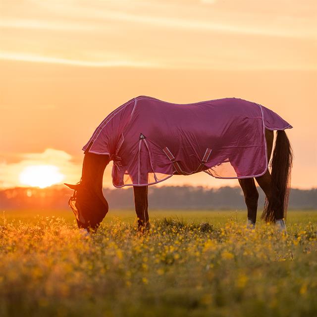 Vliegendeken Epplejeck Summertime Full Neck Roze
