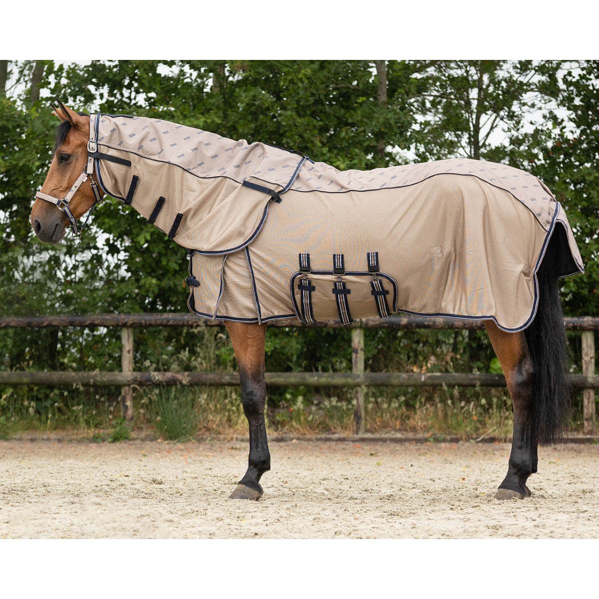 QHP Vliegendeken combo collection met hals - maat 145/195 - focus