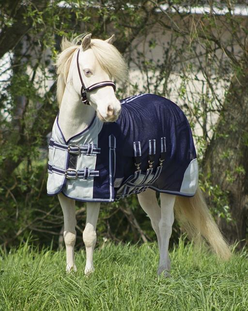 Vliegendeken QHP Falabella Blauw