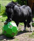 Voerbal Hay Play Blauw