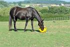 Voerbal Hay Play Blauw