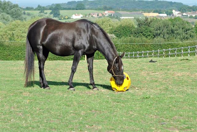 Voerbal Hay Play Blauw