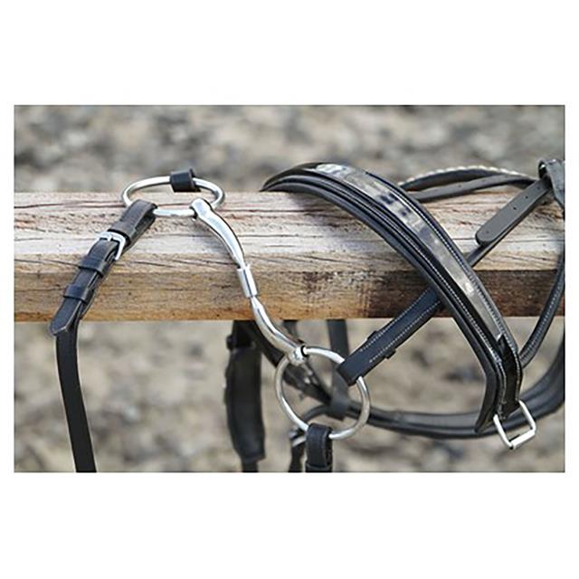 Watertrens Harry's Horse Dubbelgebroken Roll-R 14M 