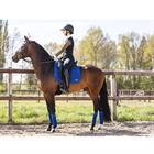 Zadeldek ANKY Anatomic Tech Middenblauw