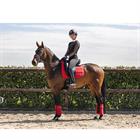 Zadeldek Anky Anatomic Tech Rood