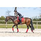 Zadeldek Anky Anatomic Tech Rood