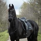 Zadeldek Bucas Therapy Limited Edition Zwart