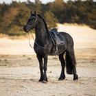 Zadeldek Bucas Therapy Limited Edition Zwart