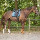 Zadeldek D QHP Micah Darkturquoise