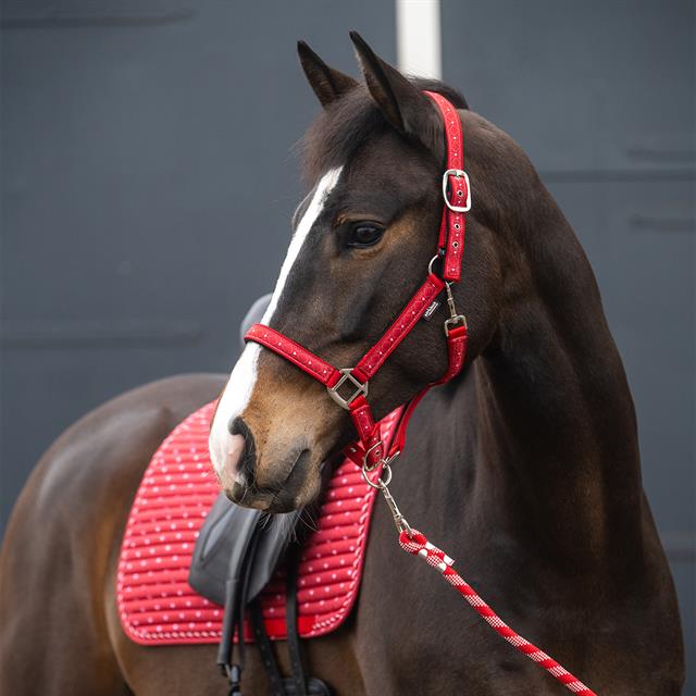 Zadeldek Epplejeck EJValentine Dressuur Rood