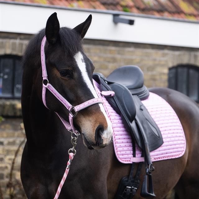 Zadeldek Epplejeck EJValentine Dressuur Roze