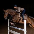 Zadeldek Equestrian Stockholm Champagne Middenbruin