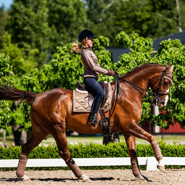 Zadeldek Equestrian Stockholm Champagne Middenbruin