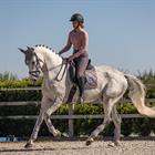 Zadeldek Equestrian Stockholm Dusty Pink Roze-grijs