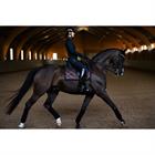 Zadeldek Equestrian Stockholm Mahogany Glimmer Bruin