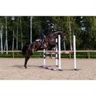 Zadeldek Equestrian Stockholm Mahogany Glimmer Bruin