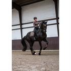 Zadeldek Equestrian Stockholm Modern Mocha Dressuur Bruin