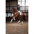 Zadeldek Equestrian Stockholm White Glimmer Dressuur Wit