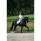 Zadeldek Equestrian Stockholm White Perfect Silver Wit-zilver