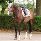 Zadeldek euro-star ESCato Beige
