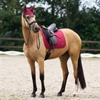 Zadeldek euro-star ESCato Donkerrood