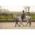 Zadeldek Harry's Horse Stout Beryl Grijs