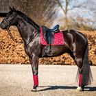 Zadeldek HB Showtime Crown Donkerrood