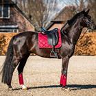 Zadeldek HB Showtime Crown Donkerrood