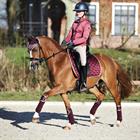Zadeldek Horsegear Aurum Donkerrood