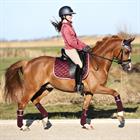 Zadeldek Horsegear Aurum Donkerrood