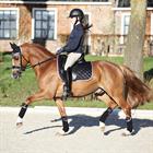 Zadeldek Horsegear Aurum Zwart