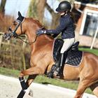Zadeldek Horsegear Aurum Zwart