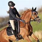 Zadeldek Horsegear Aurum Zwart