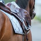 Zadeldek Horsegear Bayesa Grijs