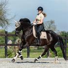 Zadeldek HORSEGEAR HGFarnham Beige