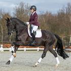 Zadeldek HORSEGEAR HGKemble Dressuur Wit-rood