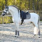 Zadeldek Horsegear HGVelvet Dapple Grijs