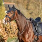 Zadeldek HORSEGEAR HGWareham Dressuur Donkerblauw