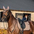Zadeldek HORSEGEAR HGWareham Dressuur Middenbruin