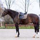 Zadeldek HV POLO HVPEssential Dressuur Bruin