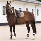 Zadeldek HV POLO HVPEssential Dressuur Bruin