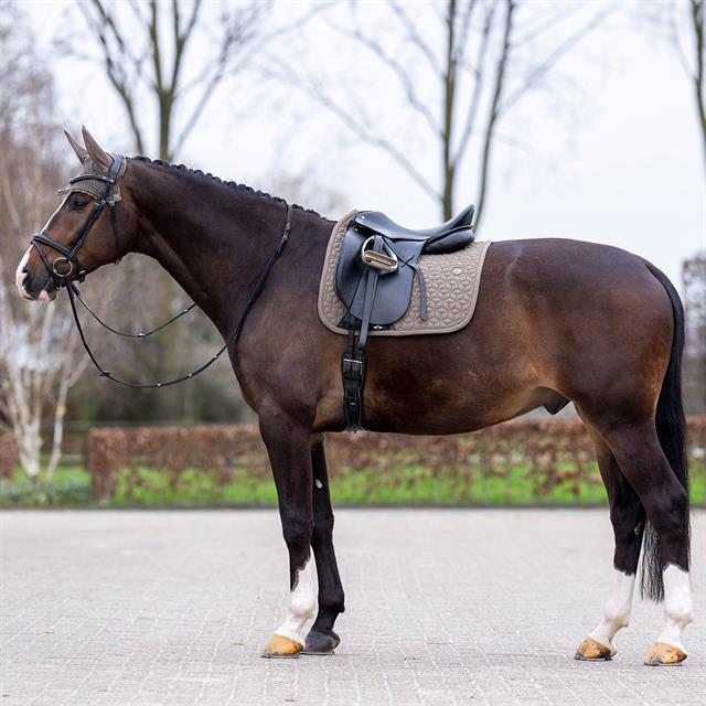 Zadeldek HV POLO HVPEssential Dressuur Bruin