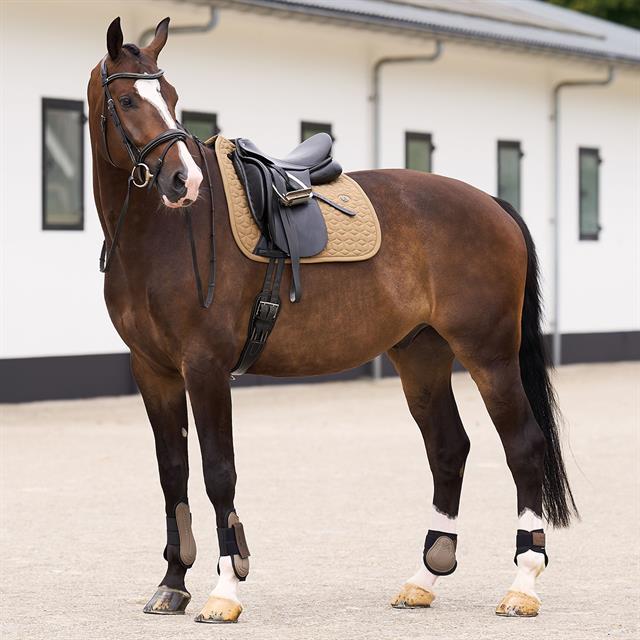 Zadeldek HV POLO HVPEssential Dressuur Bruin